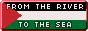from the river to the sea palestinian flag